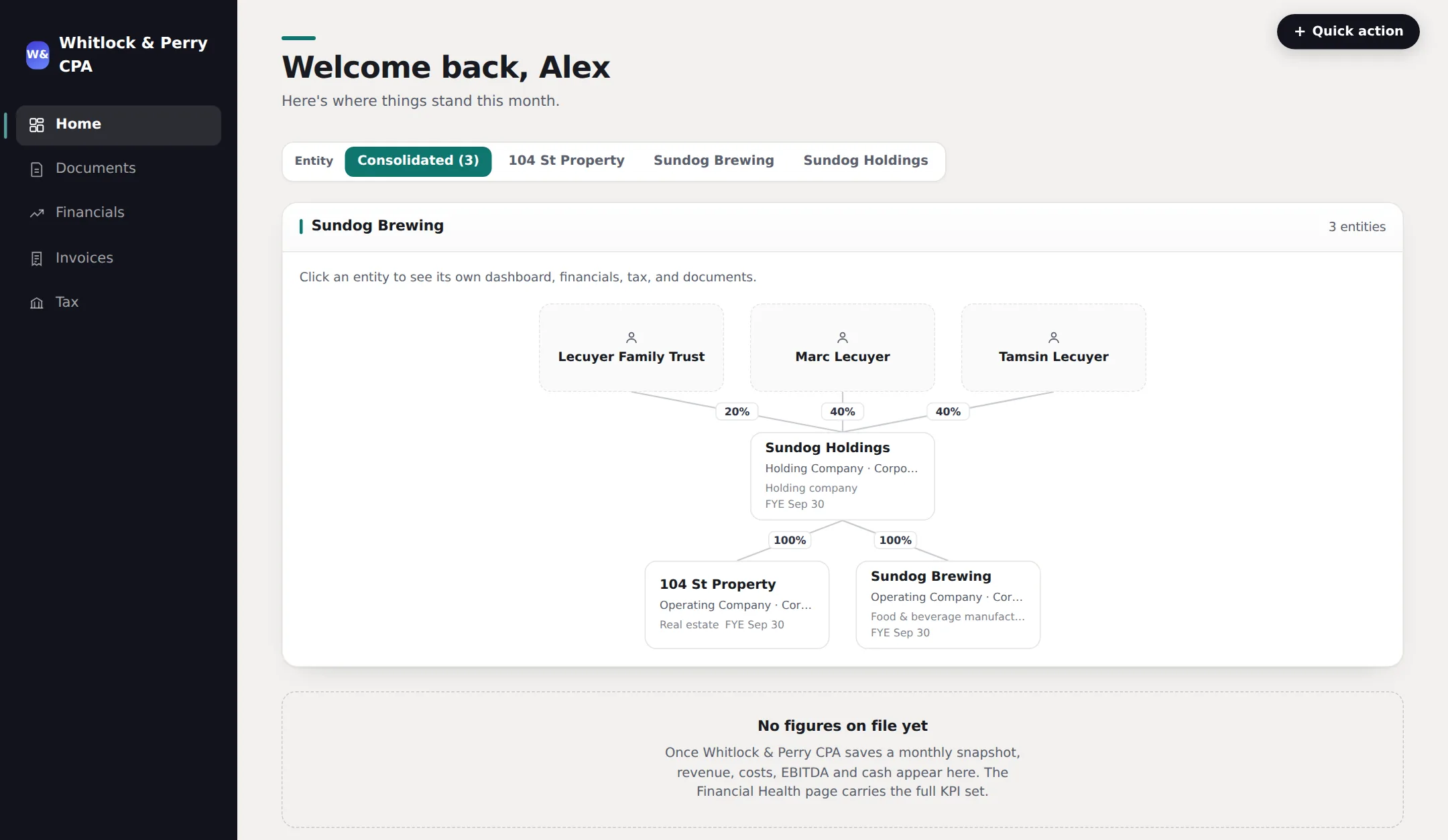 The client portal: a holdco and two operating companies drawn as a structure, with the shareholders above them.